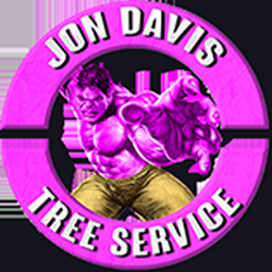Jon Davis Tree Service And Removal Services 11175 Spring Photo Of Jon Davis Tree Service And Removal Spring Hill Fl United States