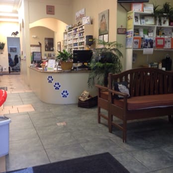 Vet In Royal Palm Beach Fl Vet In Royal Palm Beach Fl