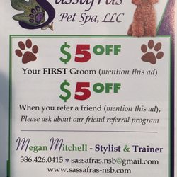 Safras Pet Spa Training 207 Palmetto St New Smyrna Beach Photo Of Safras Pet Spa New Smyrna Beach Fl United States 5