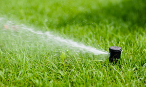Jason's Lawn Care & Landscaping