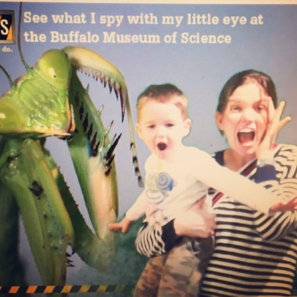 Buffalo Museum of Science 60 Photos & 26 Reviews Museums Eastside