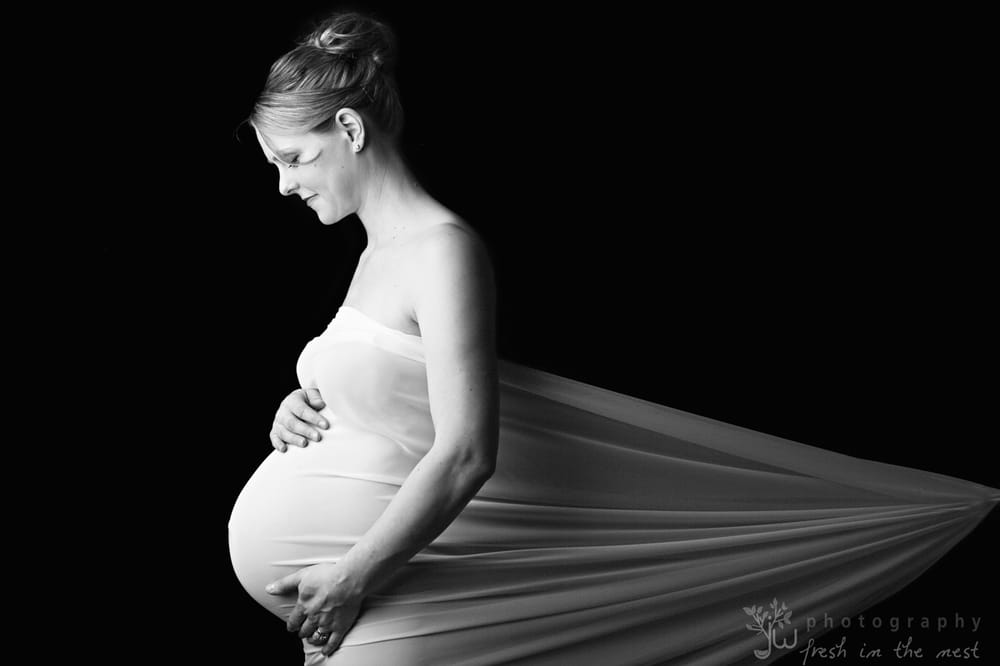 Jennifer Wilcox Photography