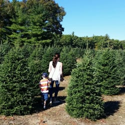 henry s christmas tree farm 17 photos 12 reviews henry s christmas tree farm 17 photos 12 reviews