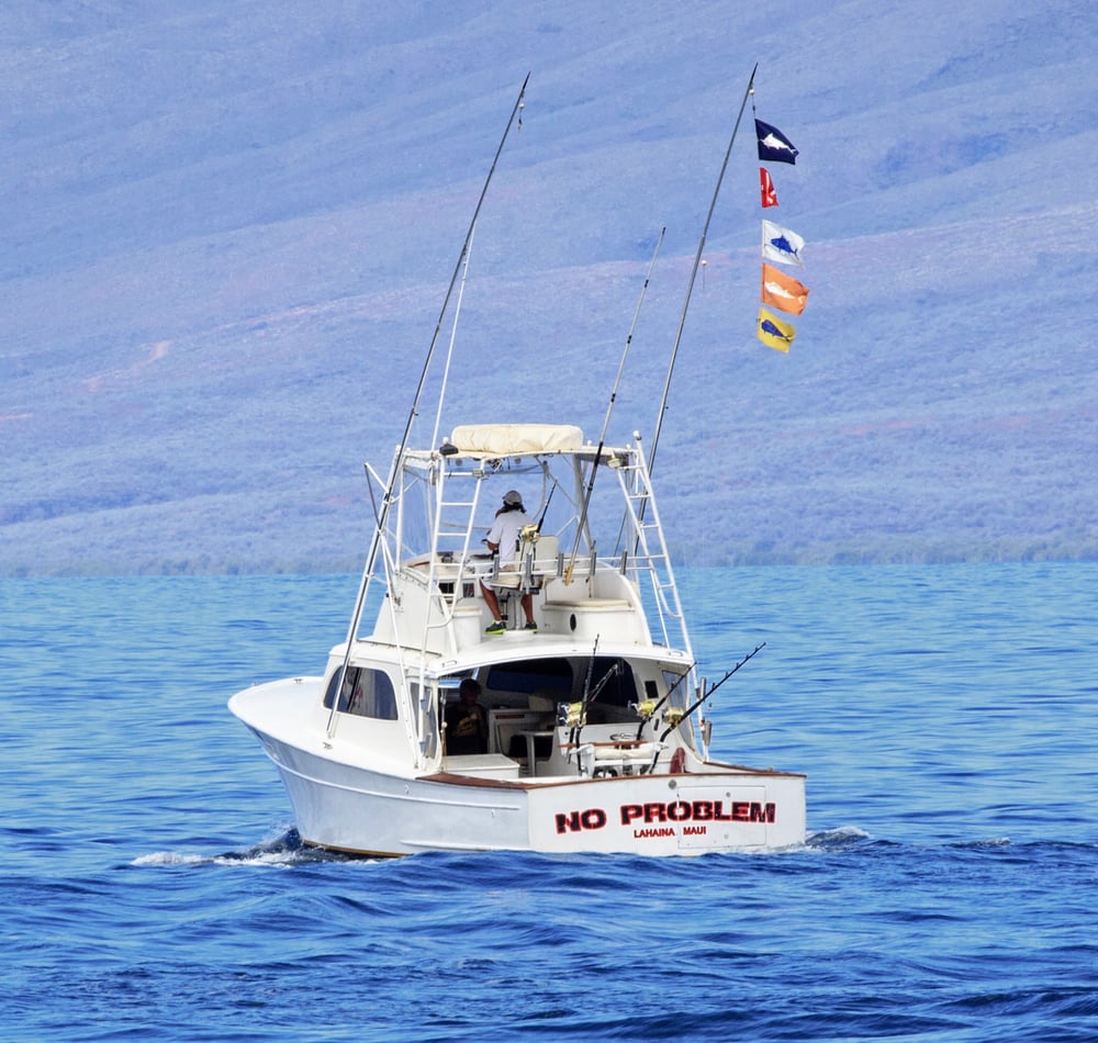 Extreme Sport Fishing Maui CLOSED 12 Photos Fishing Lahaina Harbor, Lahaina, HI Phone