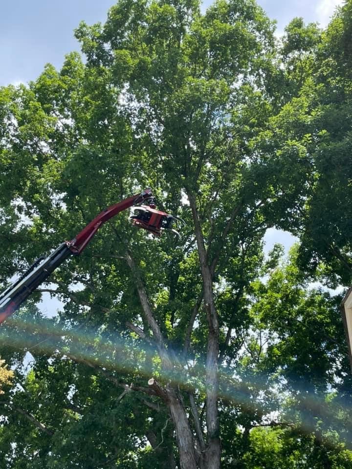 Justin Dugan Tree Service & Landscaping