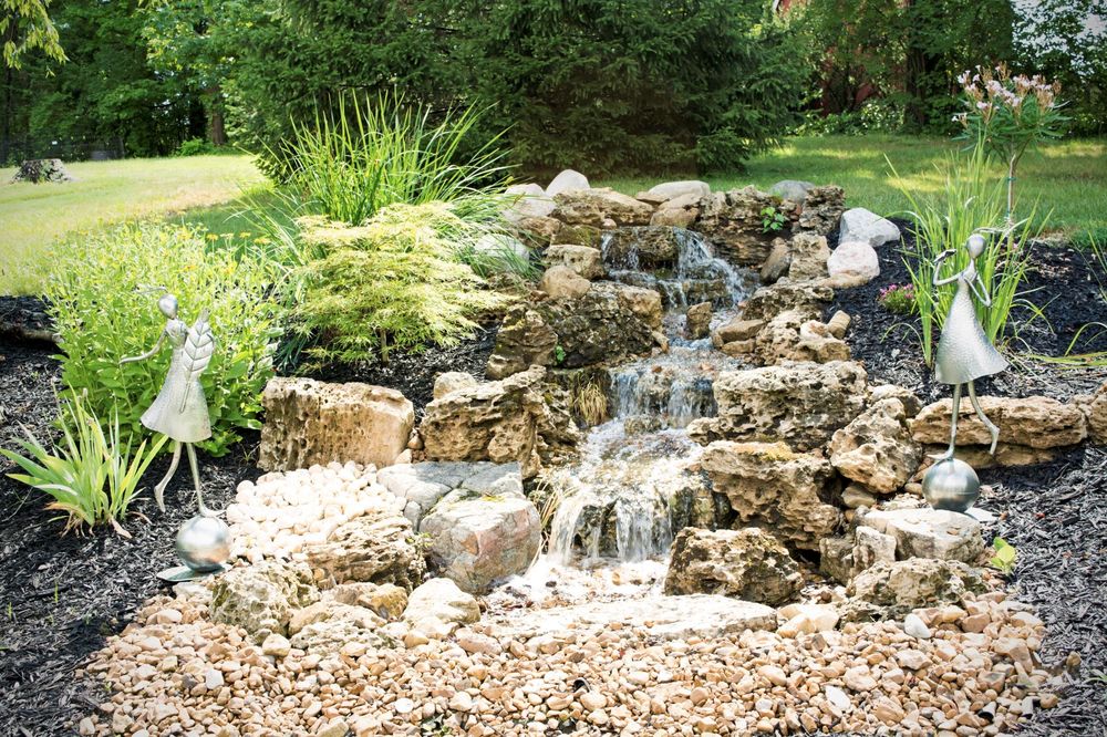 image of business Meyer Aquascapes
