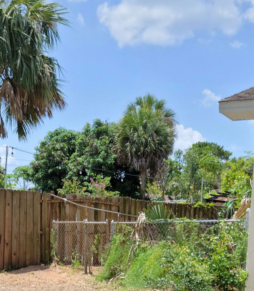 Friendly Touch Tree Service