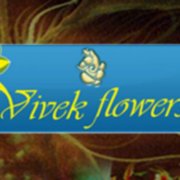 vivek flowers - Florists - 390 Cumming St, Alpharetta, GA - Phone
