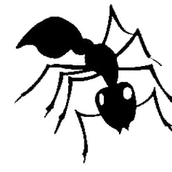 Bugz B Gone Pest Control 3850 Ramada Dr Paso Photo Of Bugz B Gone Pest Control Paso Robles Ca United