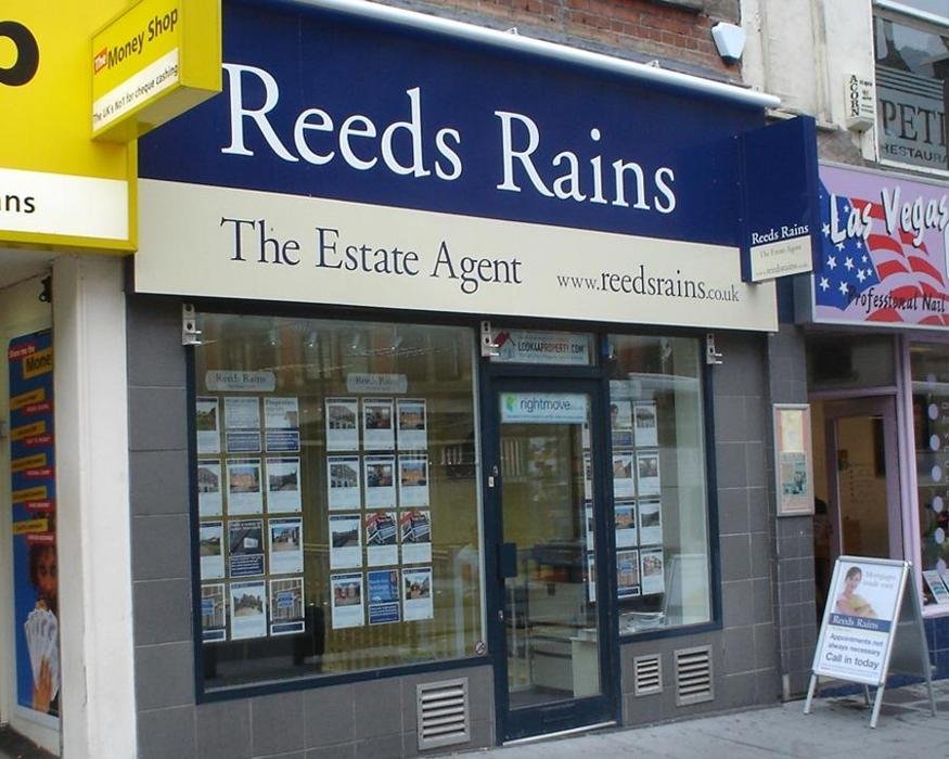 Reeds Rains