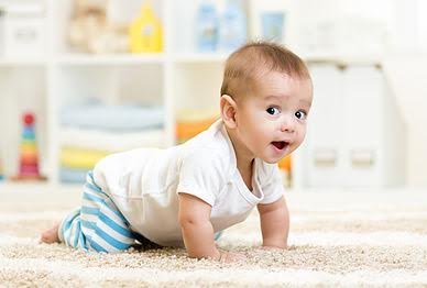 Safe-Dry® Carpet Cleaning of Franklin