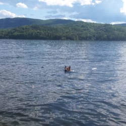 Newfound Lake Swimming Pools Bristol Nh Yelp Photo Of Newfound Lake Bristol Nh United States My