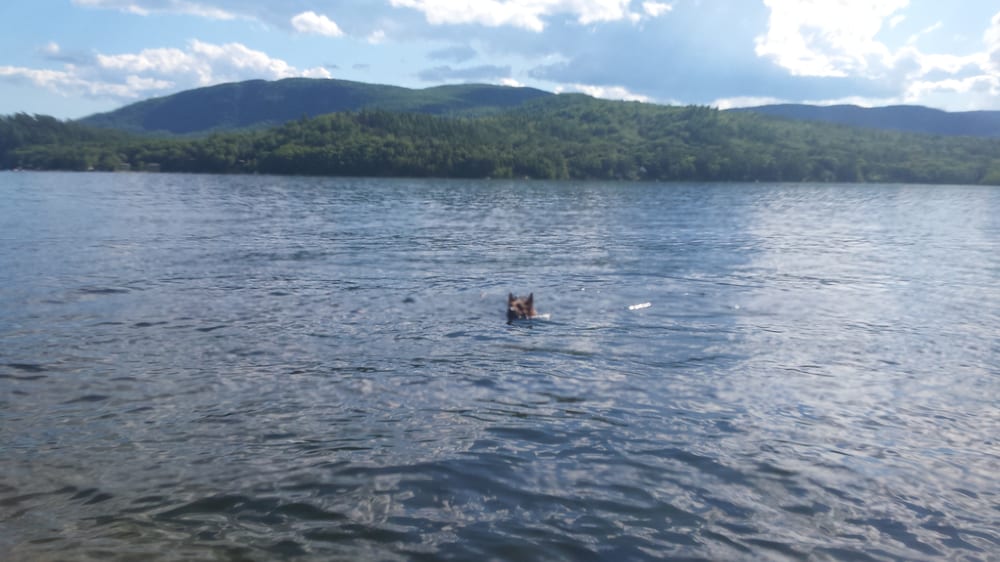 Newfound Lake Swimming Pools Newfound Lake, Bristol, NH Yelp