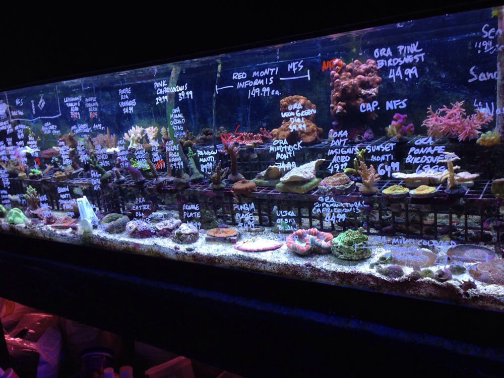 rick s fish pet supply 14 photos 29 reviews pet rick s fish pet supply 14 photos 29 reviews pet