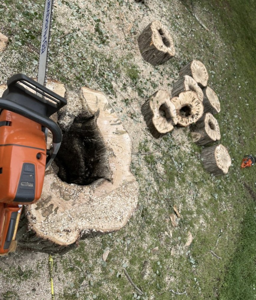 Ramirez Tree Services