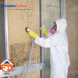 Advantaclean Two Rivers 13 Photos Damage Restoration Saint Photo Of Advantaclean Two Rivers Saint Charles Mo United States
