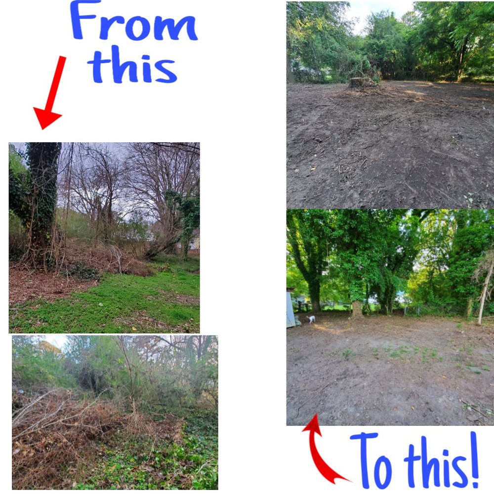 Mr. Beaver Tree Service