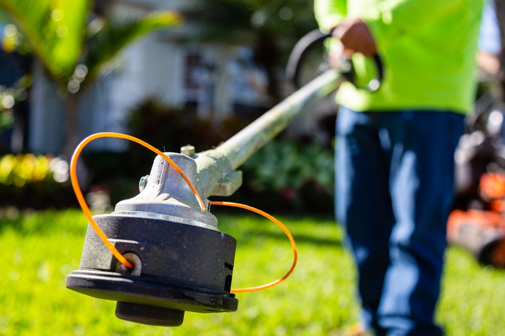 Plugs Plus Sod & Landscaping