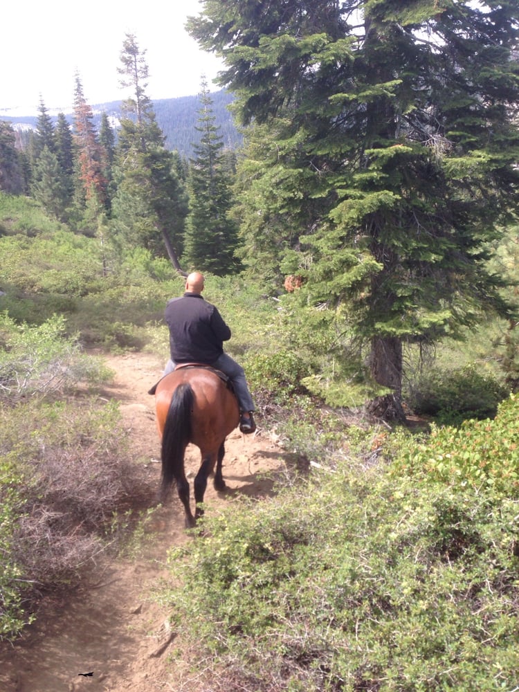 Horse Corral Pack Station Horseback Riding Big Meadows Rd, Sequoia