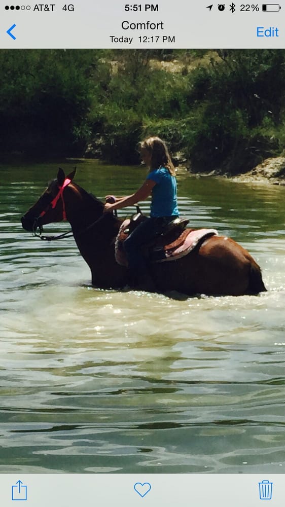 Hill Country Trail Rides CLOSED 77 Photos Horseback Riding 645