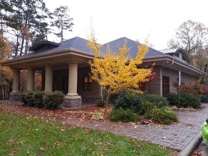 image of business Premier Dental