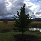 Four Seasons Nursery Nurseries Gardening 3240 Mt Hwy 35 Photo Of Four Seasons Nursery Kalispell Mt United States