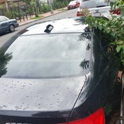 Alliance Auto Group 21 Photos 15 Reviews Loan Providers Photo Of Alliance Auto Group Sterling Va United States
