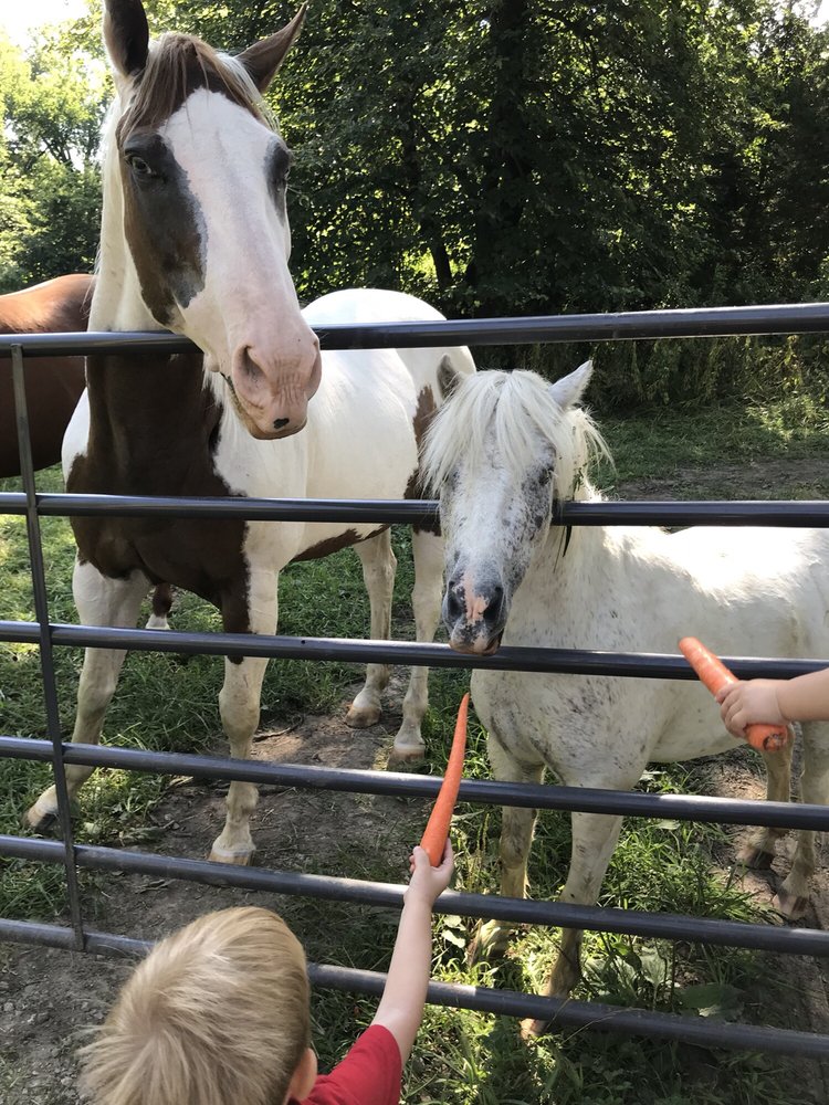 Scatter Joy Acres Petting Zoos 4966 Newport Ave, North Omaha, Omaha