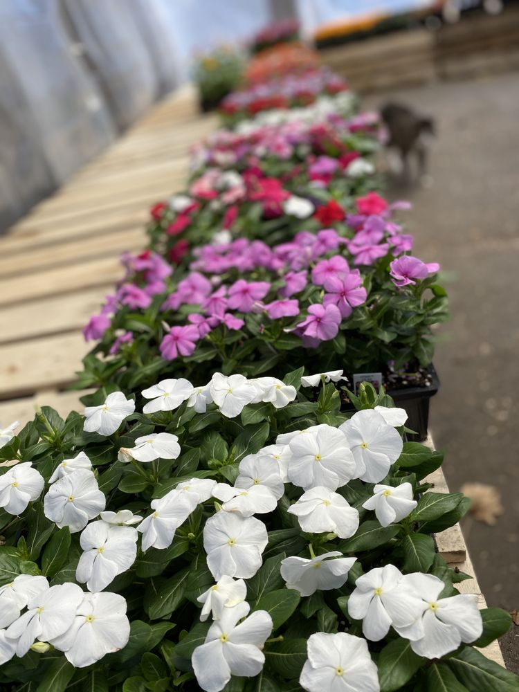 Bergen County Garden Center