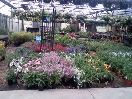 Mike S Garden Centers 555 E State Highway 114 Southlake Tx Mike S Garden Centers 555 E State Highway 114 Southlake Tx Nurseries Mapquest