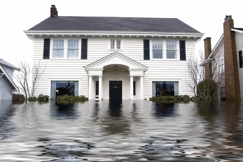 Insurance Claims Specialist