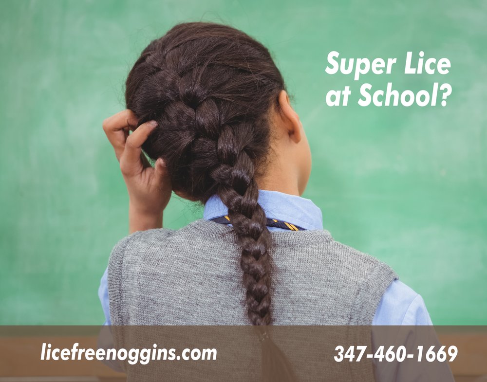 Lice Free Noggins 24 Photos & 67 Reviews Lice Services 2629 E