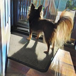 the best 10 veterinarians