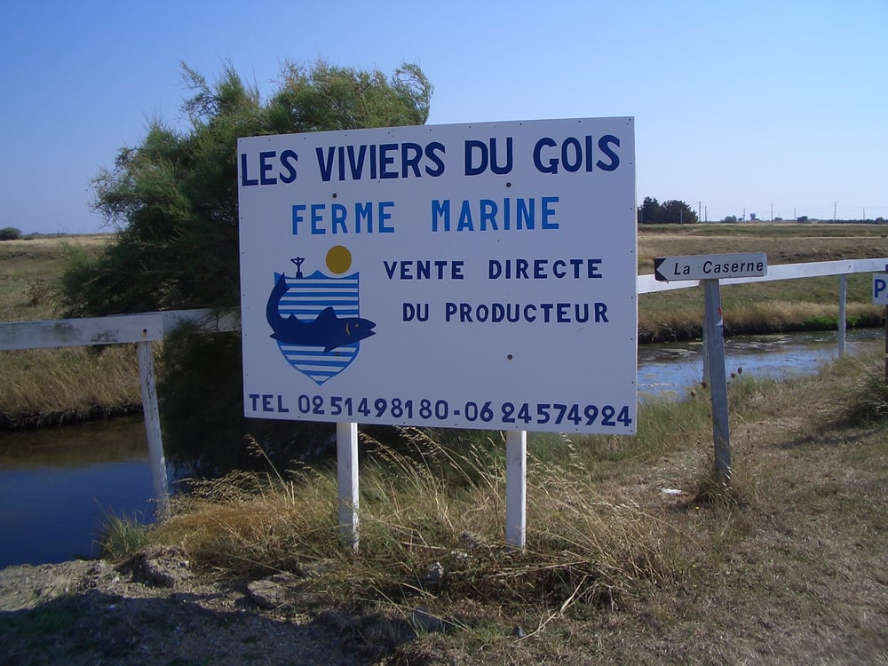 Les viviers du Gois