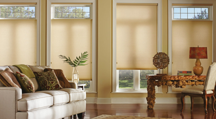 image of business Discount Window Focus