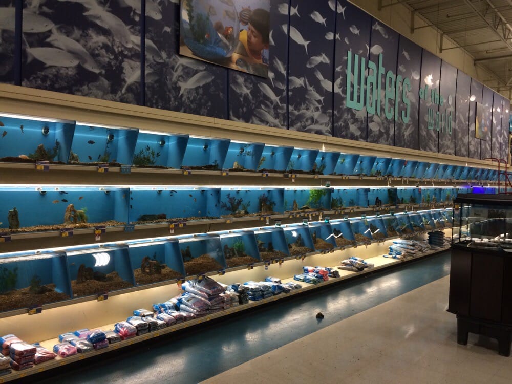 petsmart 10 reviews pet stores 3698 e franklin blvd petsmart 10 reviews pet stores 3698 e franklin blvd
