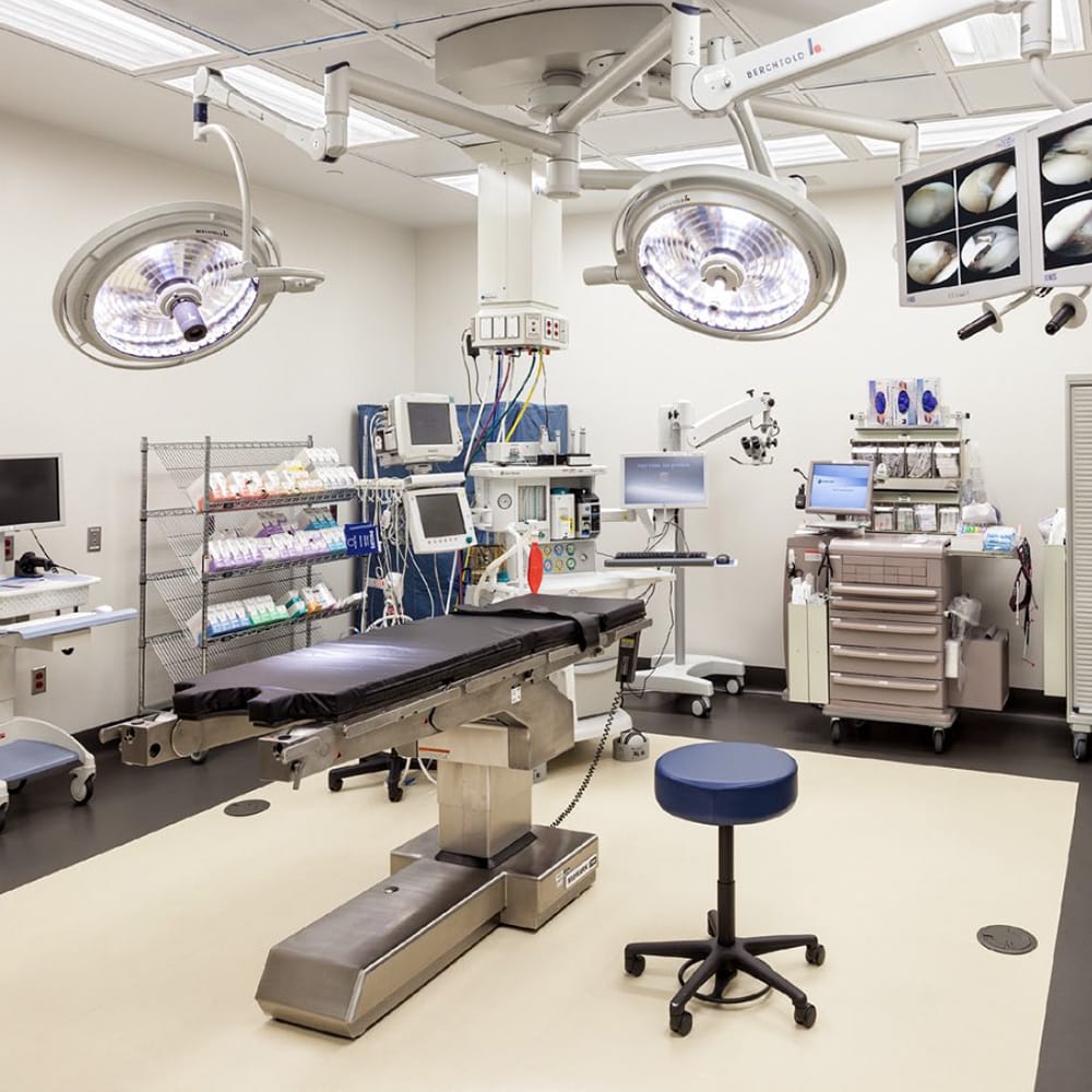 image of business Nemours duPont Pediatrics, Bryn Mawr
