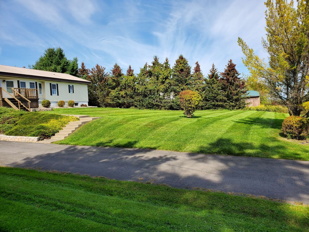 Best Lawn Care