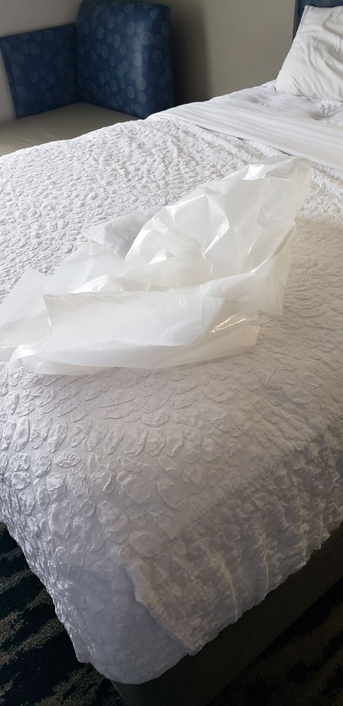 Wingate By Wyndham Greenville