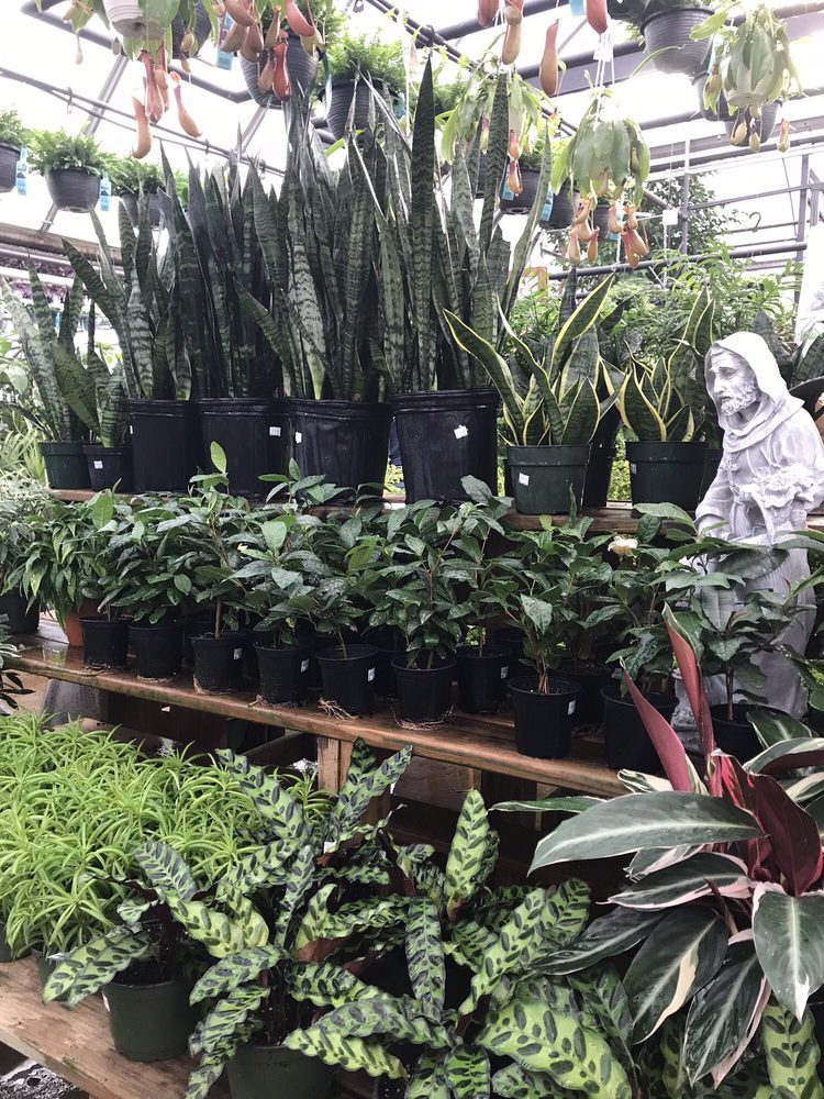 Benken Florist Home and Garden Florists 6000 Plainfield Rd