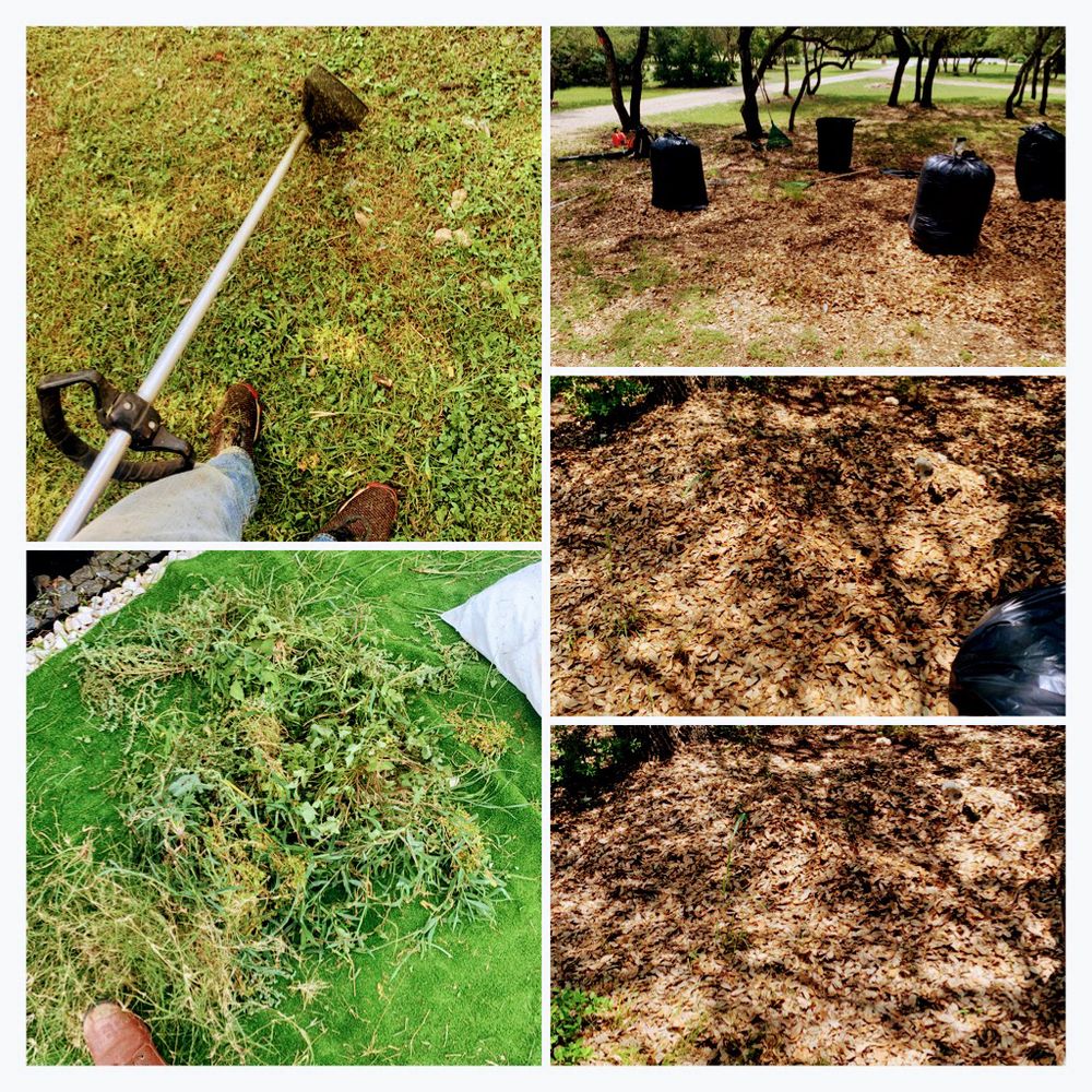 Jose’s landscaping and tree services