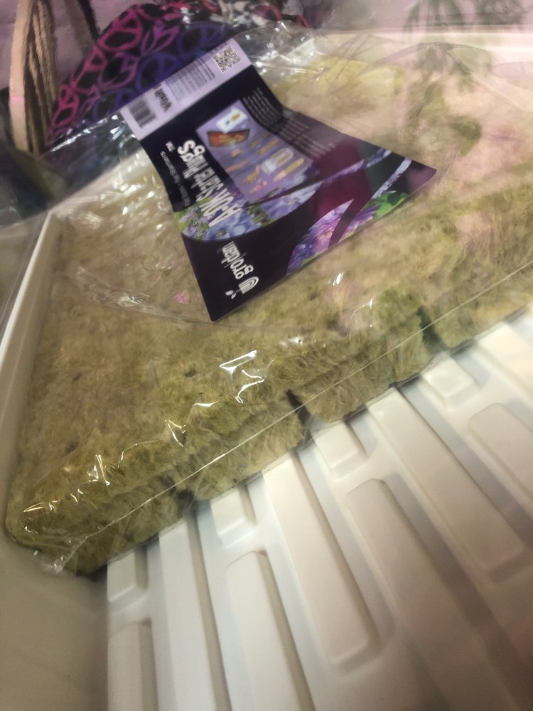 Hands On Hydroponics