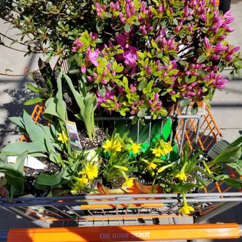 Home Depot Glendale Ny Phone Home Depot Glendale Ny Phone