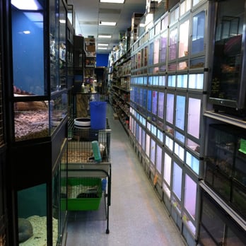 super petz 38 photos 41 reviews pet stores 5230a super petz 38 photos 41 reviews pet stores 5230a