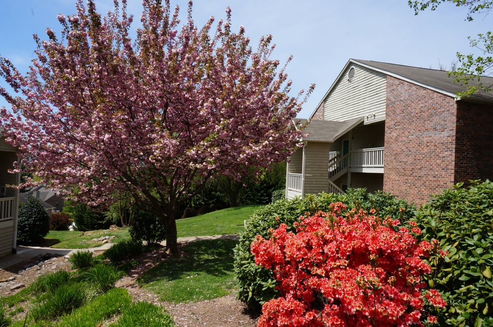 Kensington Place Apartments