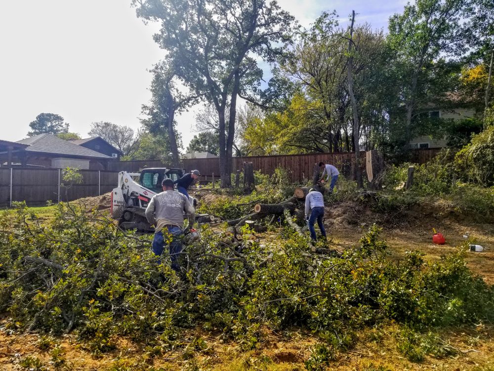 Woody's Tree Service