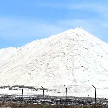 South Bay Salt Works 15 Photos Specialty Food 1470 Bay Blvd