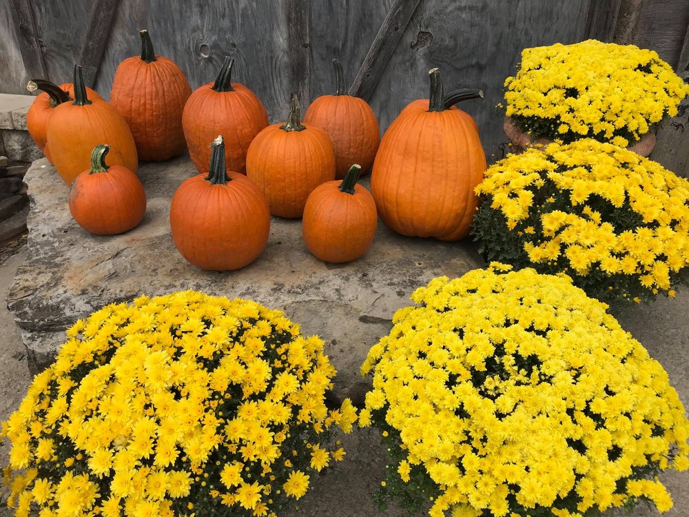 Randy's Lakeview Nursery & Stone