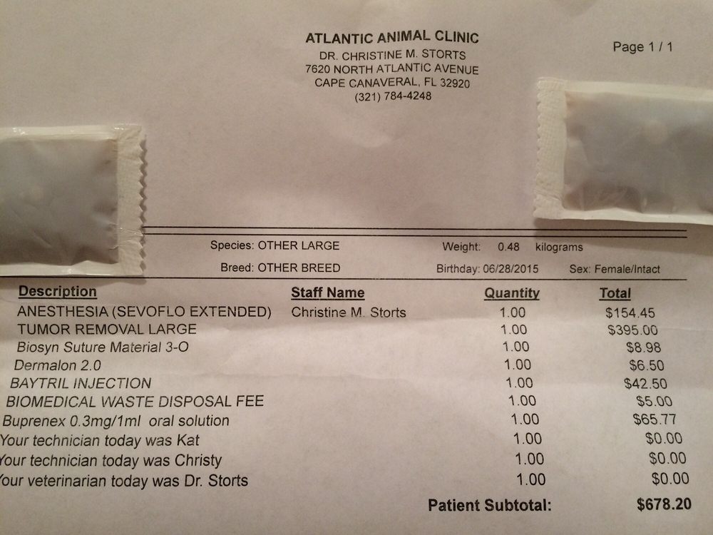 Rat Tumor Removal Cost Goldenacresdogs Rat Tumor Removal Cost Outrageous Insulting Go Elsewhere For