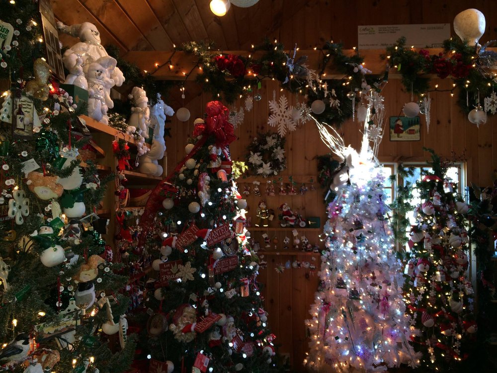 Fairview Tree Farm 16 Photos Firewood 2 Saw Mill City Rd, Shelton